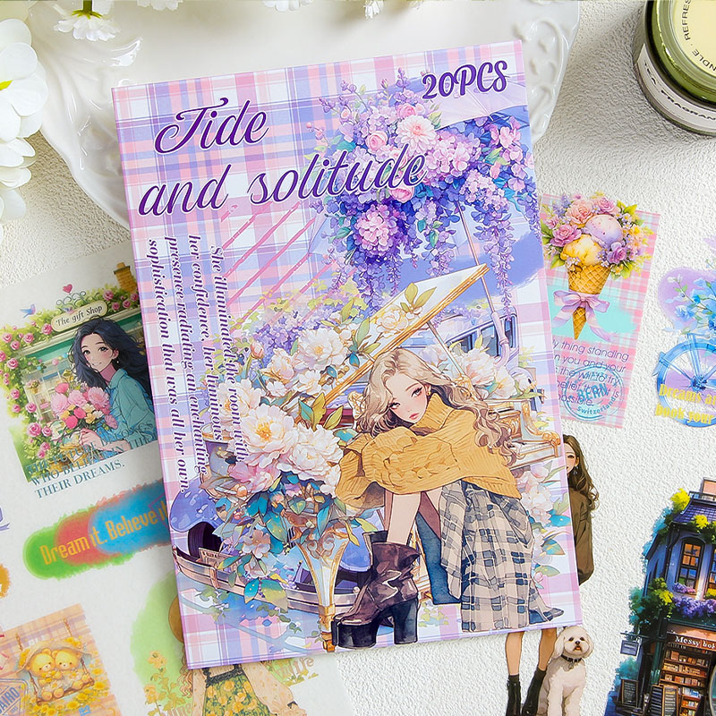 20 pcs/book PET Stickers book  - Vintage Collectible Books 评论和价格