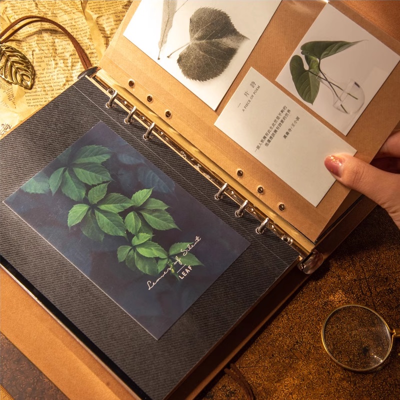Photo Albums Scrapbook Retro V - Collectible Vintage Photos 评论和价格